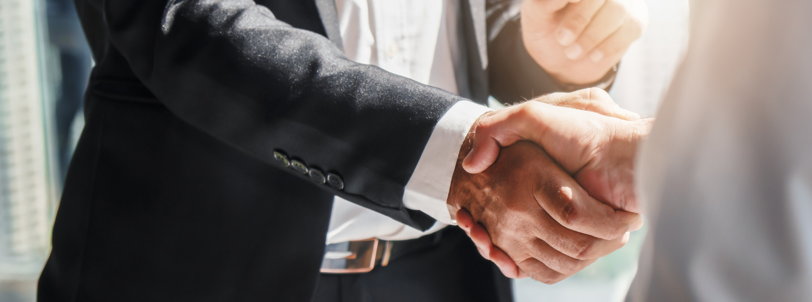 Two businesspeople shaking hands